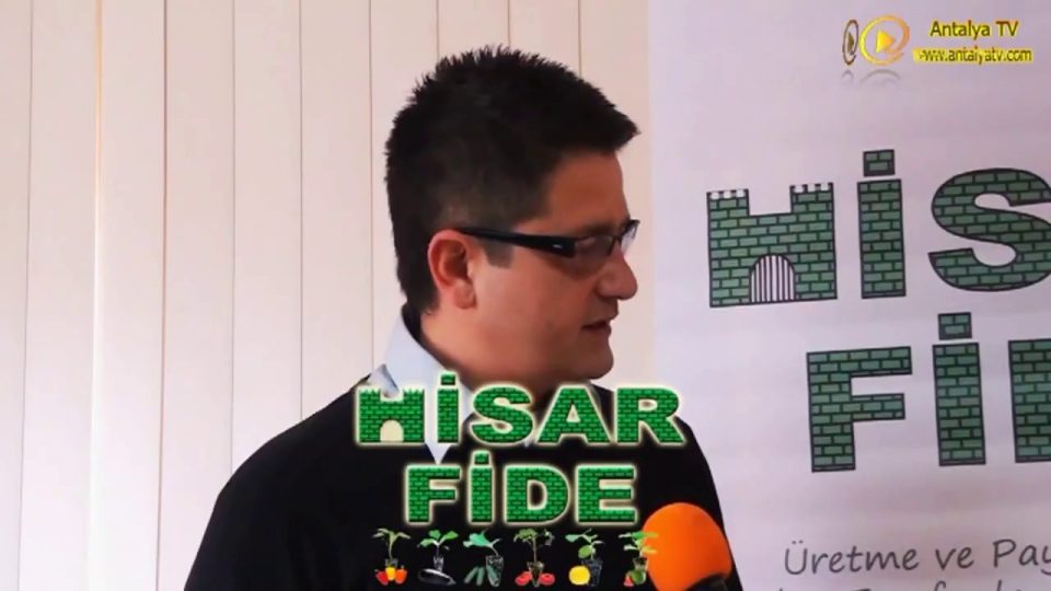 Hisar Fide Aksu Antalya - Antalya Fideciler - Domates Biber Marul Fidesi Çeşitleri Fiyatları