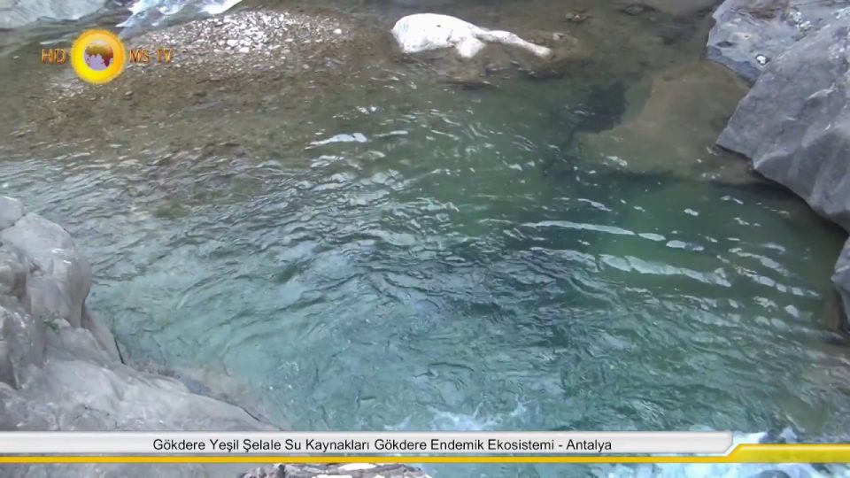 Antalya Gökdere Vadisi ve Yedi Gözler Su Kaynakları