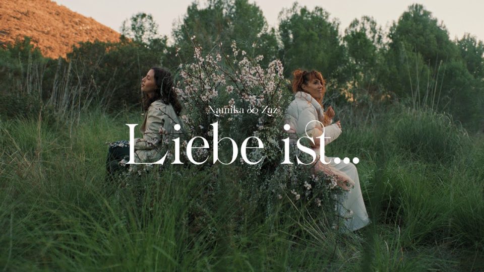 Namika x Zaz - Liebe ist Lyrics