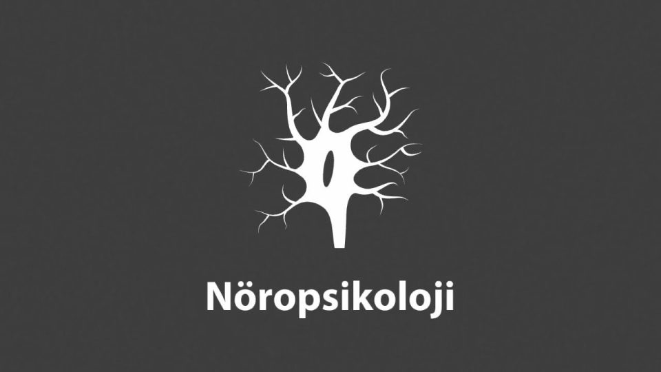 Bilinç ve davranışın sinirsel temelleri: Nöropsikoloji
