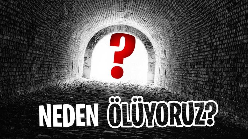 Bilimsel olarak ölüm nedir? Ölümsüzlük mümkün müdür ?