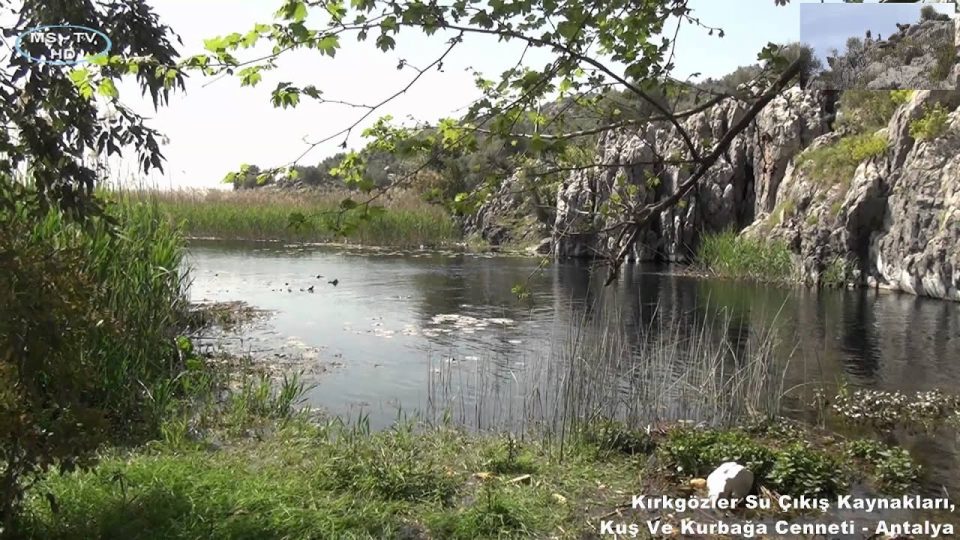 Kırkgözler Su Çıkış Kaynakları, Kuş ve Kurbağa Cenneti - Antalya