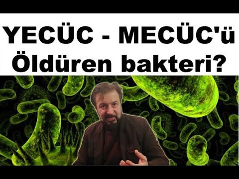 YECÜC - MECÜC'ü öldüren bakteri?
