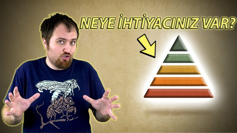 Maslow'un İhtiyaçlar Hiyerarşisi Nedir ?