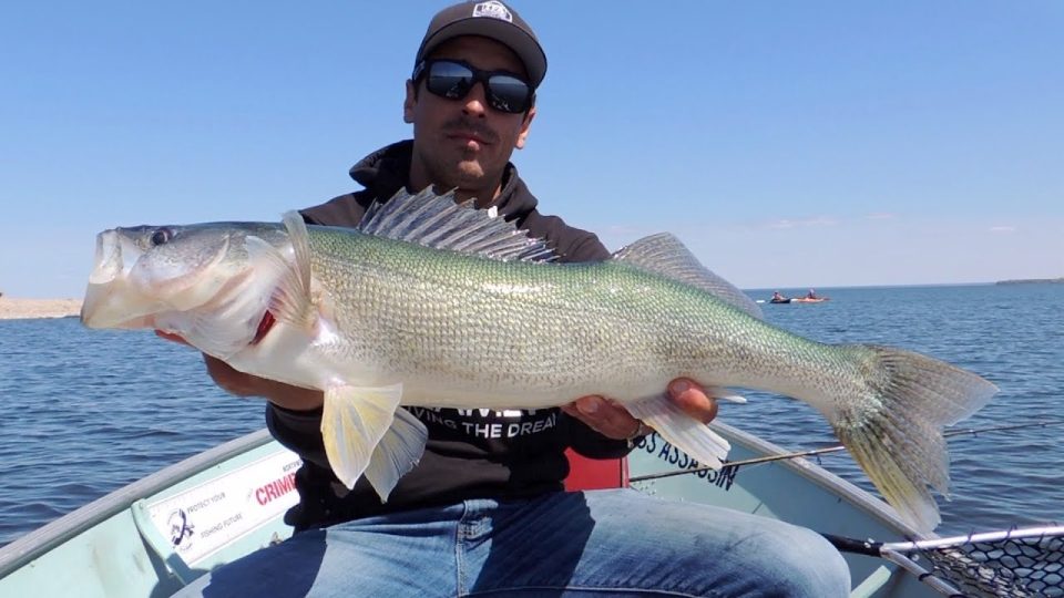 Top 10 Lake Winnipeg videos - What can you do on lake winnipeg ?