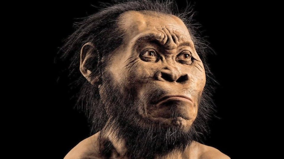 Homo naledi ve İnsanın Evrimsel Yolculuğunda Güncel Bulgular