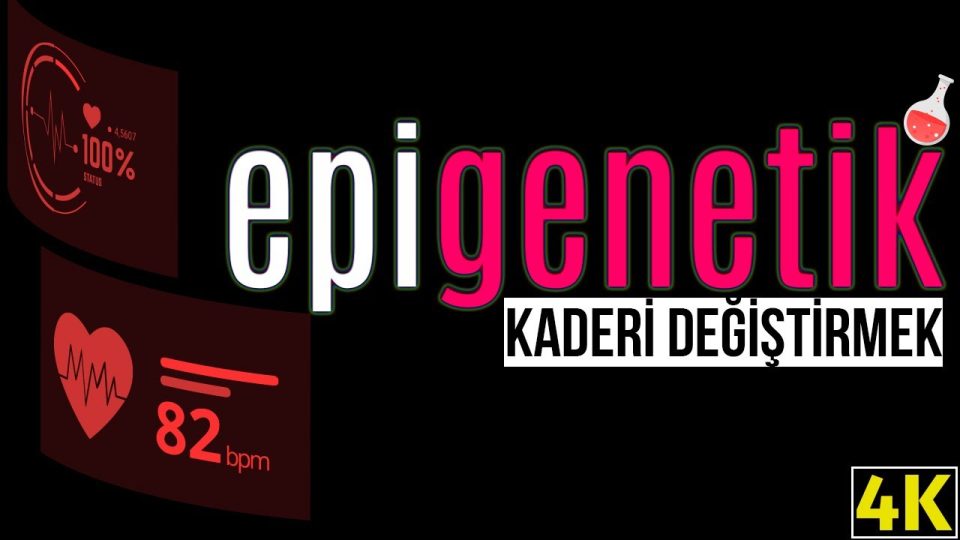 Epigenetik Ne Demektir ? Epigenetik ile insanın kaderi değiştirilebilir mi ?