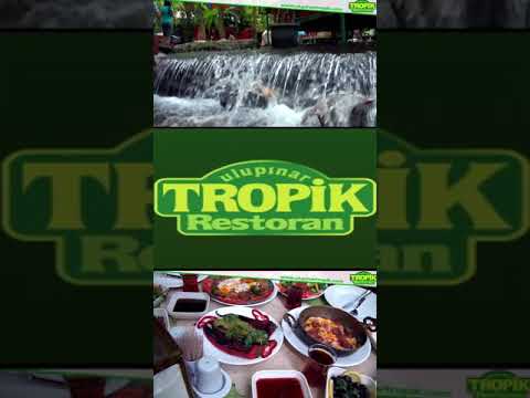 Ulupınar Kahvaltı Alabalık Avı Balık Restaurant Kemer Tropik Restaurant Bungalov Konaklama