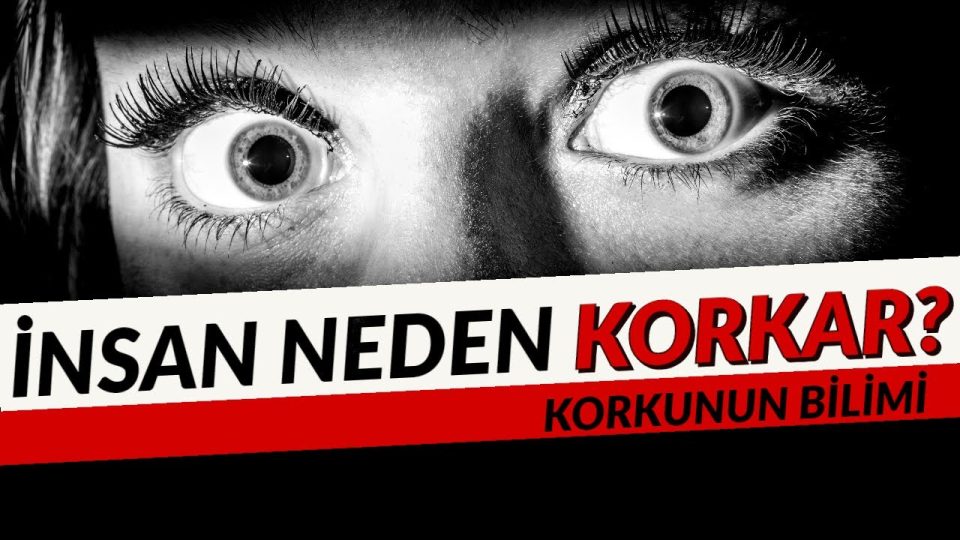 Neden Korkuyoruz? – Korkunun Bilimi