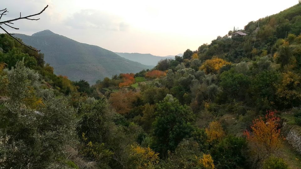 Oradan Gelene - Ali Aksoy (Şiir)
