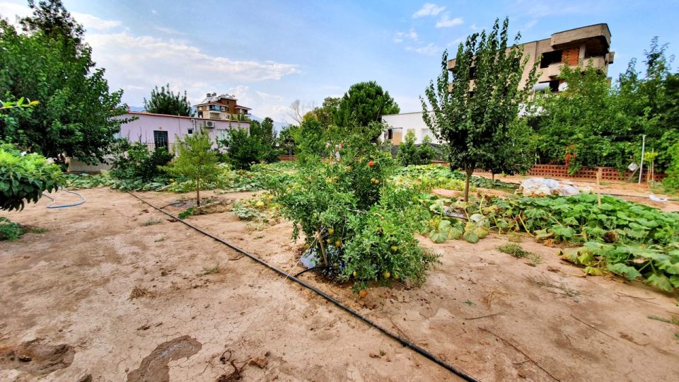 Hobi Bahçesi Bitkileri - Antalya Döşemealtı Muzaffer Aksoy