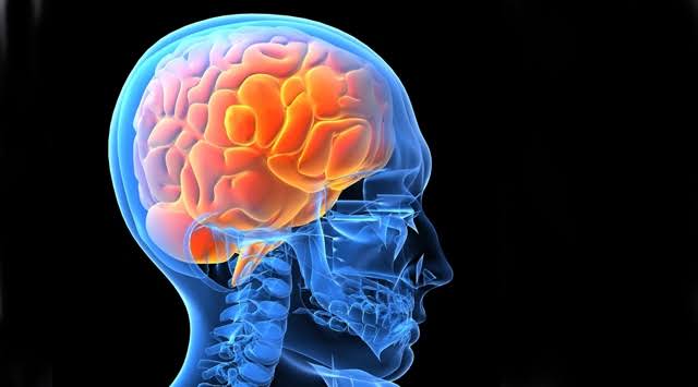 Beyin yiyen amip Naegleria Fowleri nedir ?