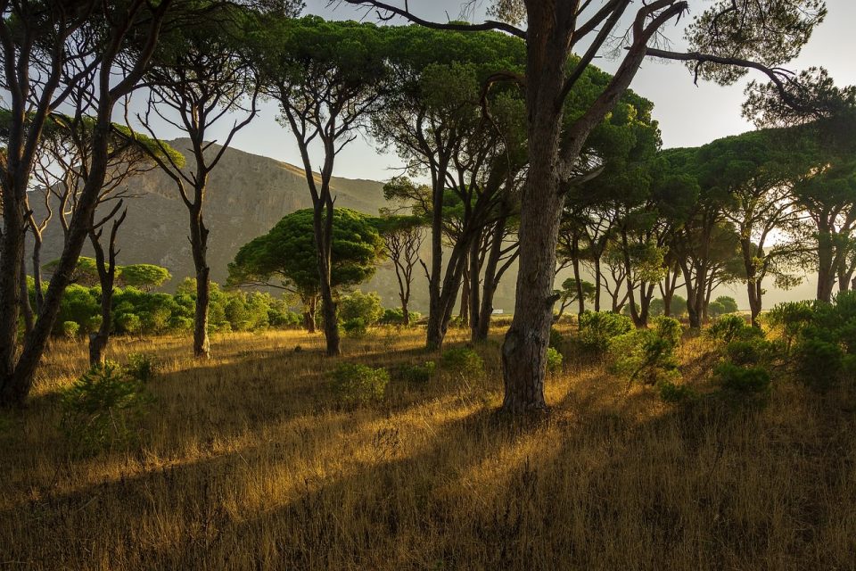 Montagnes - Forêts - Beautés naturelles - Photos de paysages