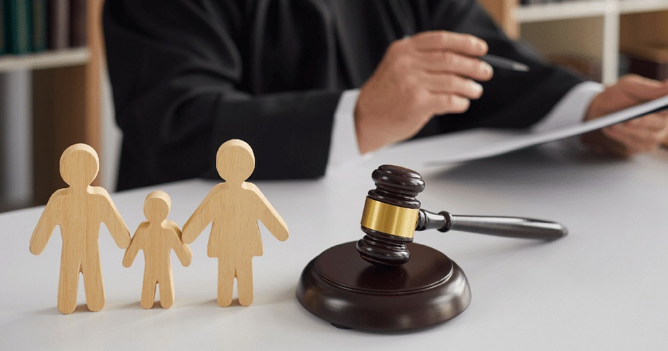 Dictionary of Family Law Terms