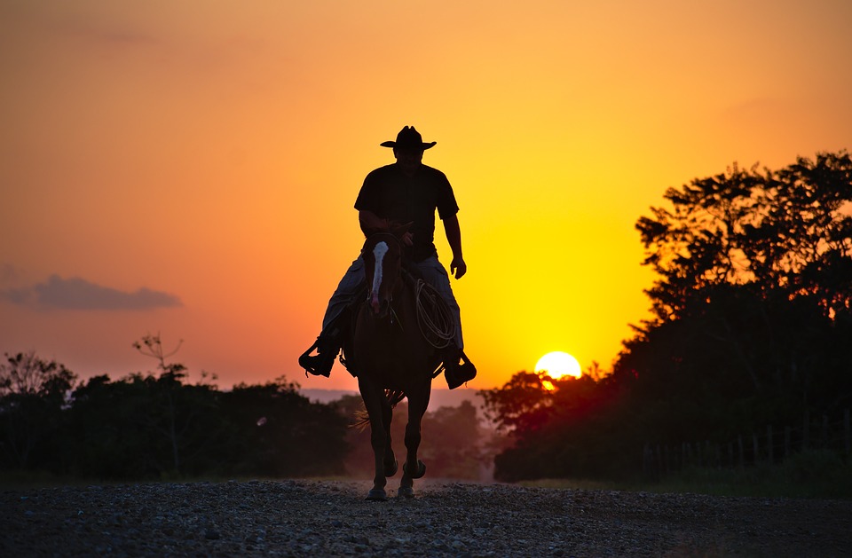 Saddle up for Adventure: Top 10 Books on Cowboys in American History